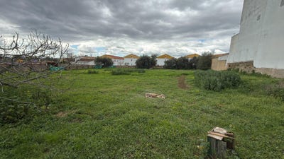 /international/es/el-cerro-de-andevalo-andalusia-310108894576/