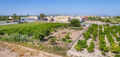 /international/es/formentera-del-segura-valencian-community-310101387350/