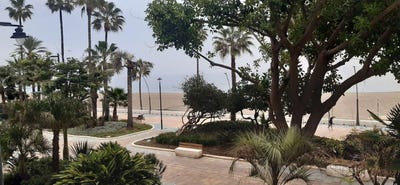 /international/es/pona-andalusia-310096232626/?lang=zh-cn
