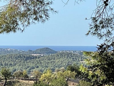 /international/es/290-camino-font-calvia-balearic-islands-310102840787/