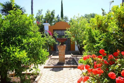 /international/es/gaucin-andalusia-310097034368/?lang=it
