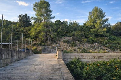 /international/es/vell-de-pego-a-latzubia-l-atzubia-valencian-community-310107704623/