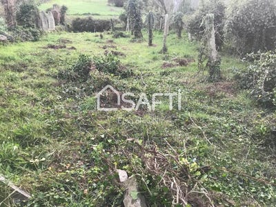 /international/es/porto-do-son-galicia-310101281840/