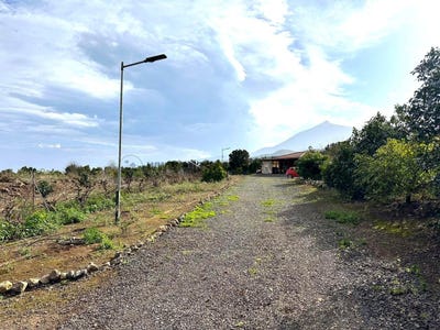 /international/es/san-jose-de-los-llanos-canary-islands-310098742977/?lang=zh-tw