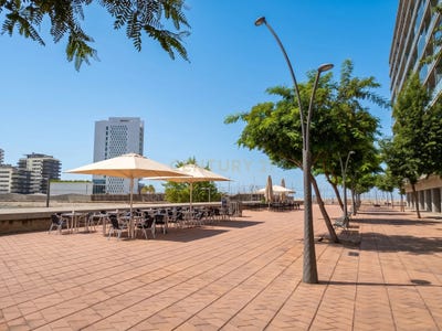 /international/es/badalona-catalonia-310119897452/