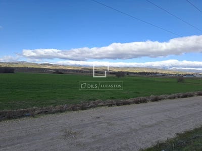/international/es/talamanca-del-jarama-community-of-madrid-310105891564/