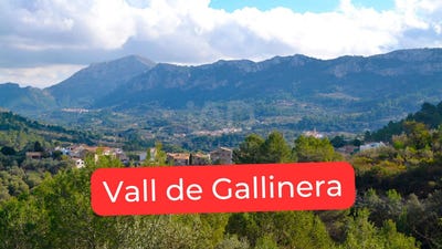 /international/es/carrer-de-baix-portimao-valencian-community-310105810648/