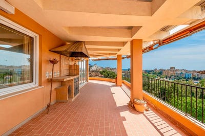 /international/es/palma-de-mallorca-balearic-islands-310108589919/