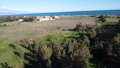 /international/es/malaga-andalusia-310108371886/