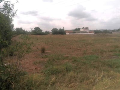 /international/es/pobla-de-vallbona-la-valencian-community-310105829207/