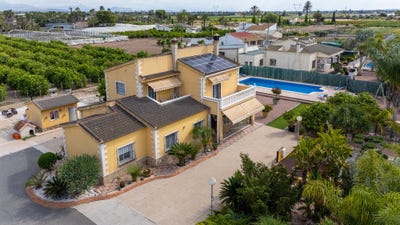 /international/es/elche-a-elche-valencian-community-310108922044/?lang=es