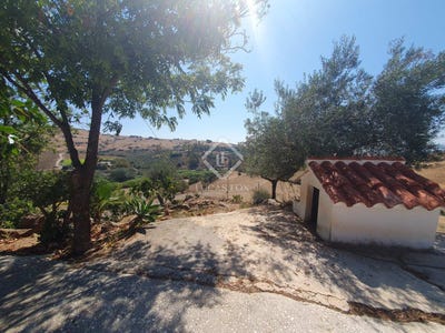 /international/es/pizarra-andalusia-120086755340/