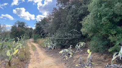 /international/es/mont-ras-catalonia-120085158738/