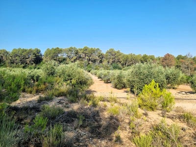 /international/es/tarragona-catalonia-310097320713/