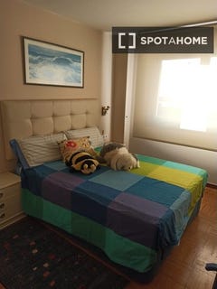 /international/es/vigo-galicia-310108557339/