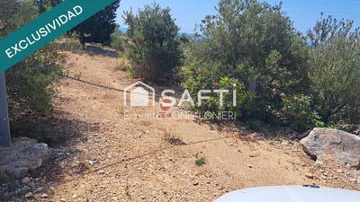 /international/es/alcanar-catalonia-310101276495/
