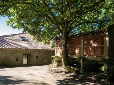 /international/es/boboras-carballino-galicia-310093897924/?lang=zh-tw
