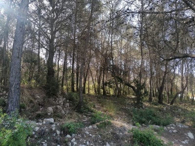 /international/es/sant-pere-de-ribes-catalonia-310107522469/
