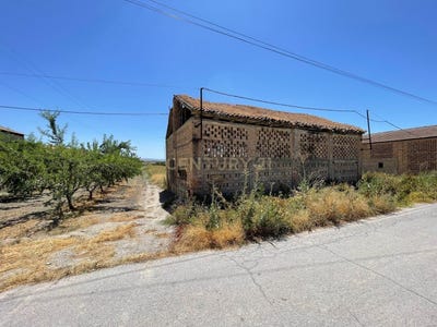 /international/es/fuente-vaqueros-andalusia-310100489747/