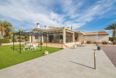 /international/es/elche-valencian-community-310105626690/