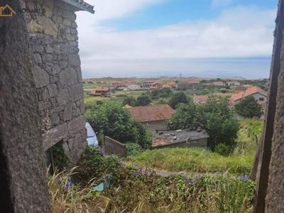 /international/es/oia-basque-country-310098768123/