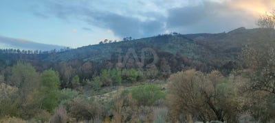 /international/es/poligon-16-parcela-61-xerta-catalonia-310102833893/
