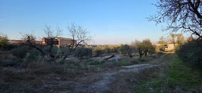 /international/es/carrer-de-sebastia-sala-i-bonastra-vilagrassa-catalonia-310109501000/