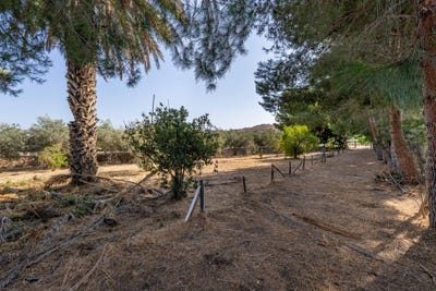 /international/es/alhabia-andalusia-310100169728/