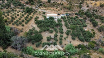 /international/es/alcaucin-andalusia-120092131188/