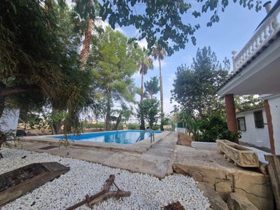 /international/es/orihuela-valencian-community-310099621576/