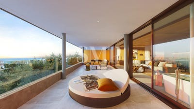 /international/es/61p-c-canarios-fuengirola-andalusia-310096148752/