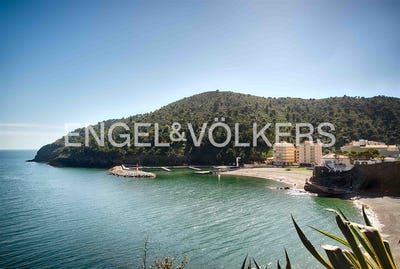 /international/es/colera-catalonia-310108188761/