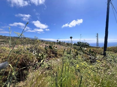 /international/es/tacoronte-canary-islands-310109124329/