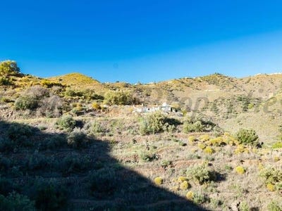 /international/es/torrox-andalusia-310100739525/