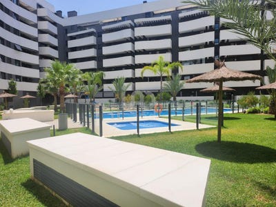 /international/es/seville-andalusia-310100710054/