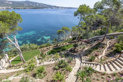 /international/es/palmanova-balearic-islands-310096816791/