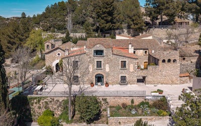 /international/es/merlot-gelida-catalonia-310108483766/