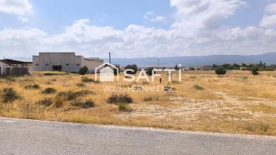 /international/es/murcia-region-of-murcia-310101275355/