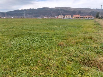 /international/es/cabezon-de-la-sal-cantabria-310108832423/