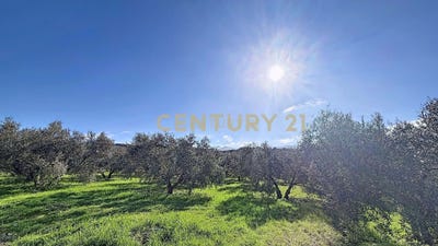 /international/es/antequera-andalusia-310105828395/