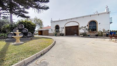 /international/es/diseminado-pago-serrano-puerto-de-santa-maria-el-andalusia-310107358751/