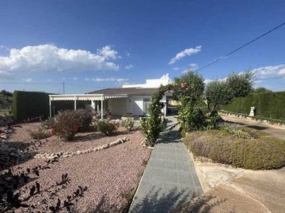 /international/es/castalla-valencian-community-310104864200/