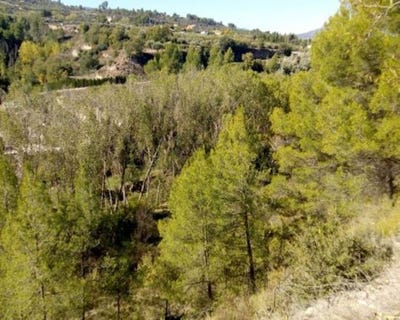 /international/es/penaguila-valencian-community-310098415048/