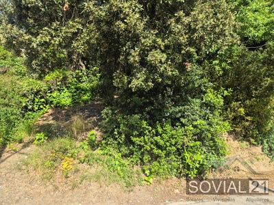 /international/es/sant-cugat-del-valles-catalonia-310107490598/