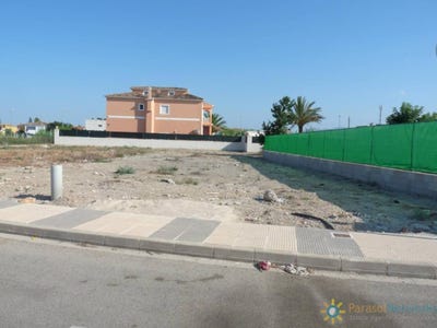 /international/es/oliva-valencian-community-310108419705/
