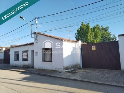 /international/es/alcazar-de-san-juan-castile-la-mancha-310105746374/