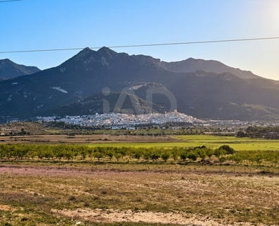 /international/es/carretera-de-calasparra-moratalla-region-of-murcia-310108157868/