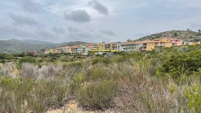 /international/es/peniscola-valencian-community-310100555819/