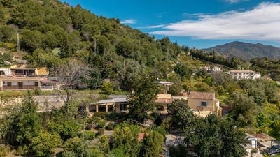 /international/es/ojen-andalusia-310107067225/