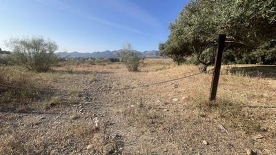 /international/es/alhaurin-de-la-torre-andalusia-310100651252/